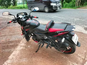 Bajaj Pulsar 150 2024 Black