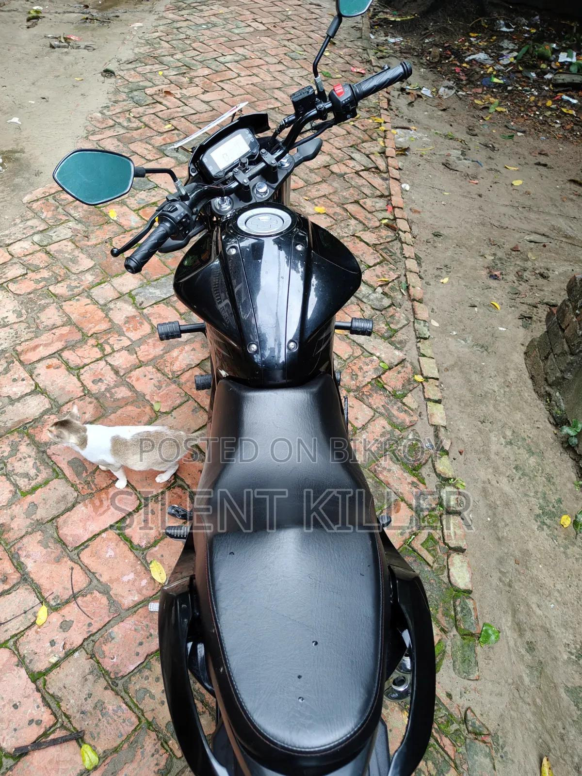 New Suzuki Gixxer Monotone 2026 Black