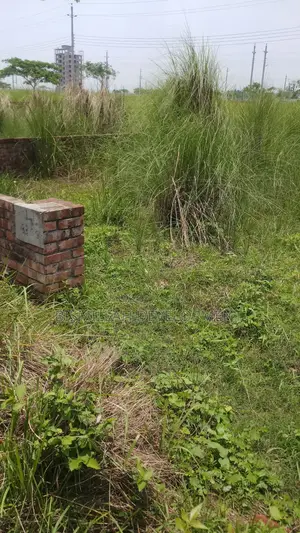 P-Block 3 Katha South Phase Plot Bashundhara R/A
