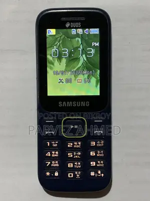 Samsung Guru Music 2 Blue