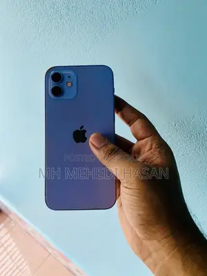 Apple iPhone 12 256 GB Gray