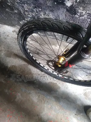 Argent Bicycle Sell