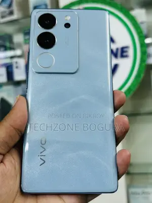 Vivo V29 Pro 256 GB