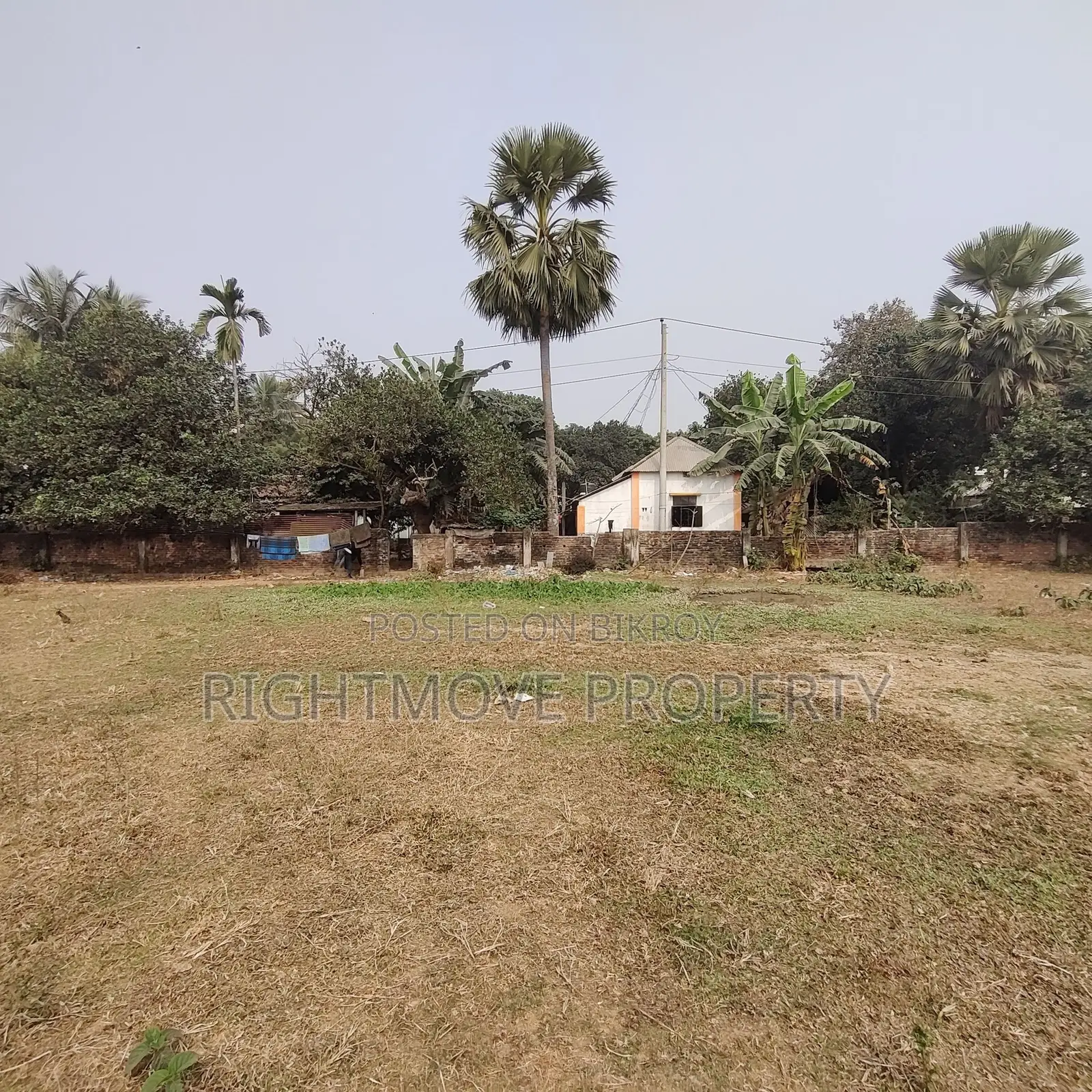 ০৪ কাঠা|আক্রান বাজার|বিরুলিয়া|সাভার|উঁচু জমি