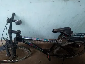 সাইকেল বেচে দিবো