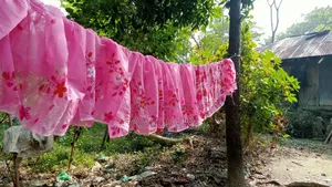 Premium Quality Hand-Painted Saree