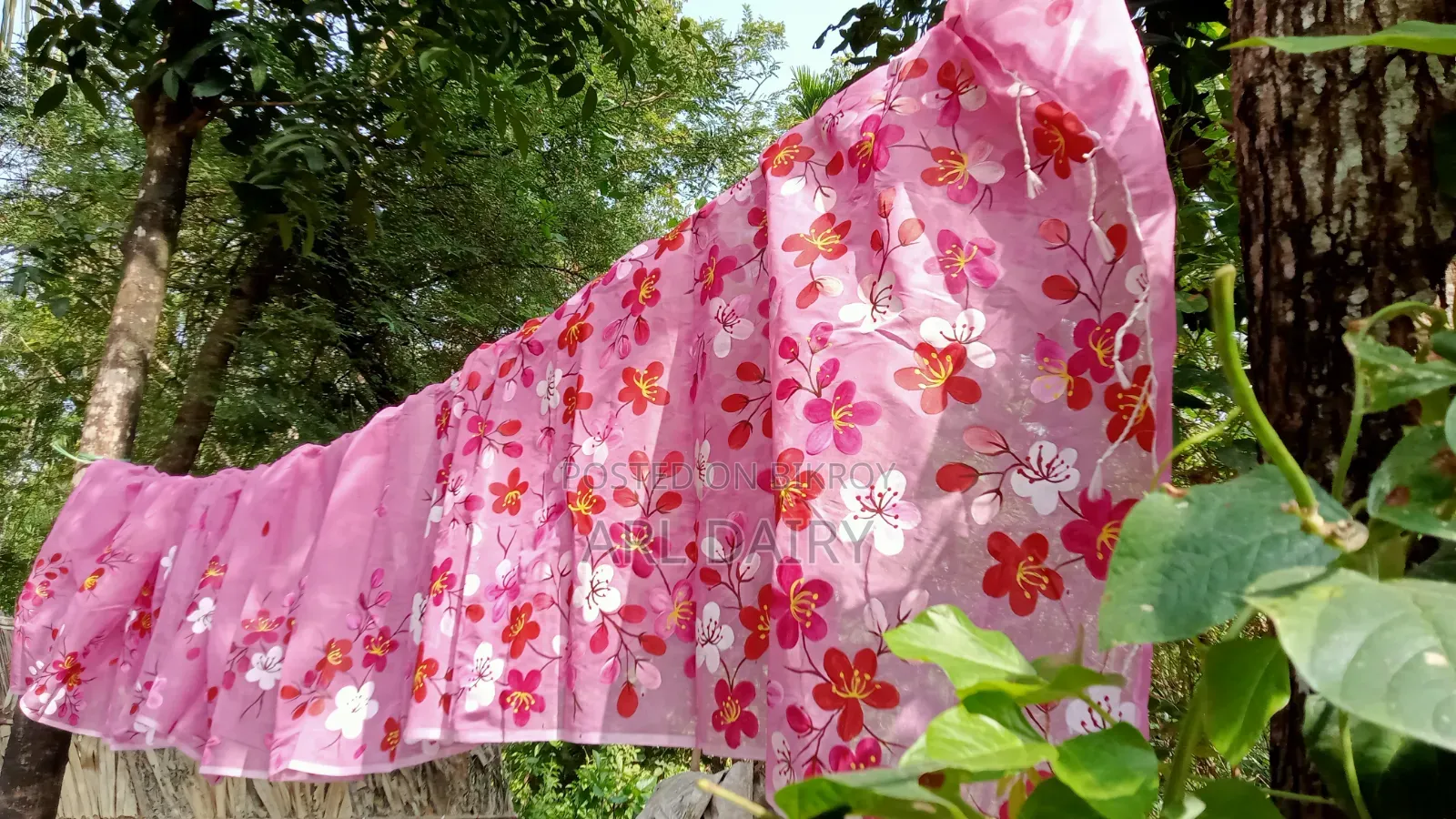 Premium Quality Hand-Painted Saree