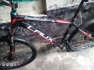 Argent Bicycle Sell