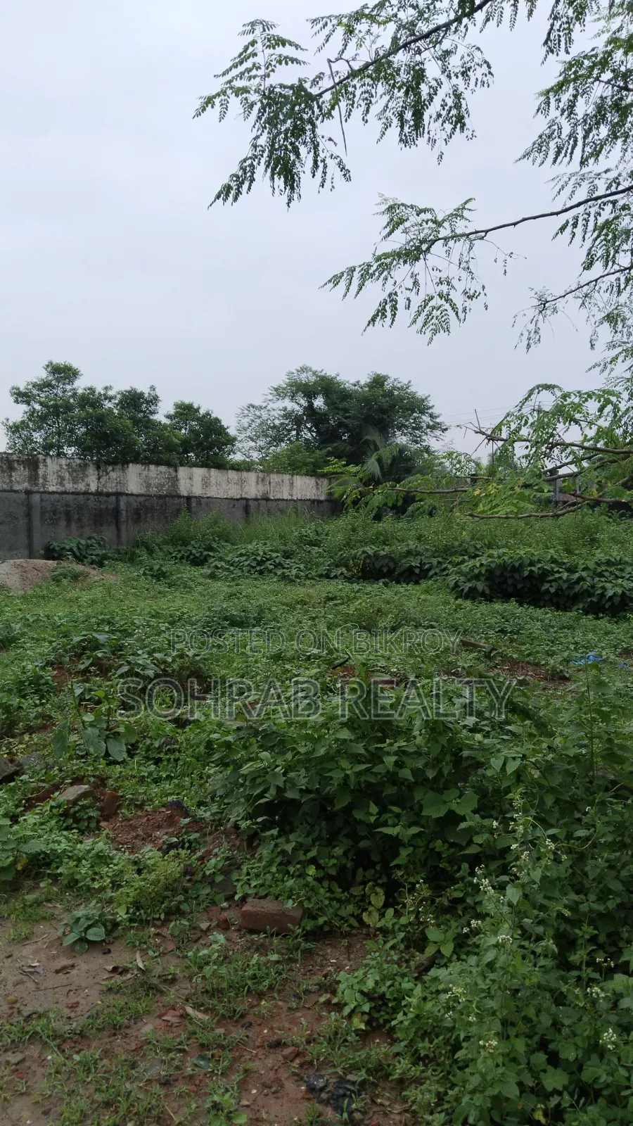 10 Katha Plot Sector #10, Purbachal.