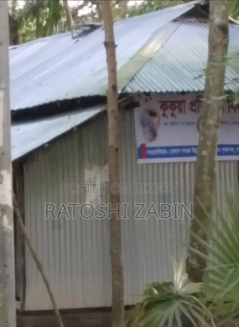 Urgent Land Sell in Borguna