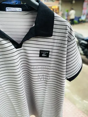 প্রিমিয়াম এস্থেটিক পোলো টি-শার্ট কালেকশন