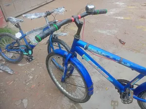 Duranta Cycle