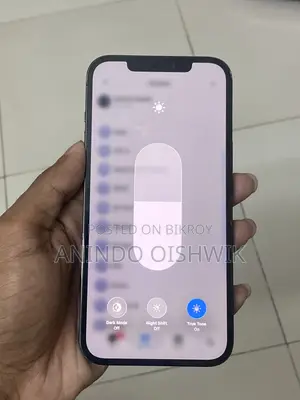 অ্যাপল আইফোন ১২ প্রো ম্যাক্স ১২৮ জিবি ব্লু