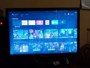 Computer Monitor