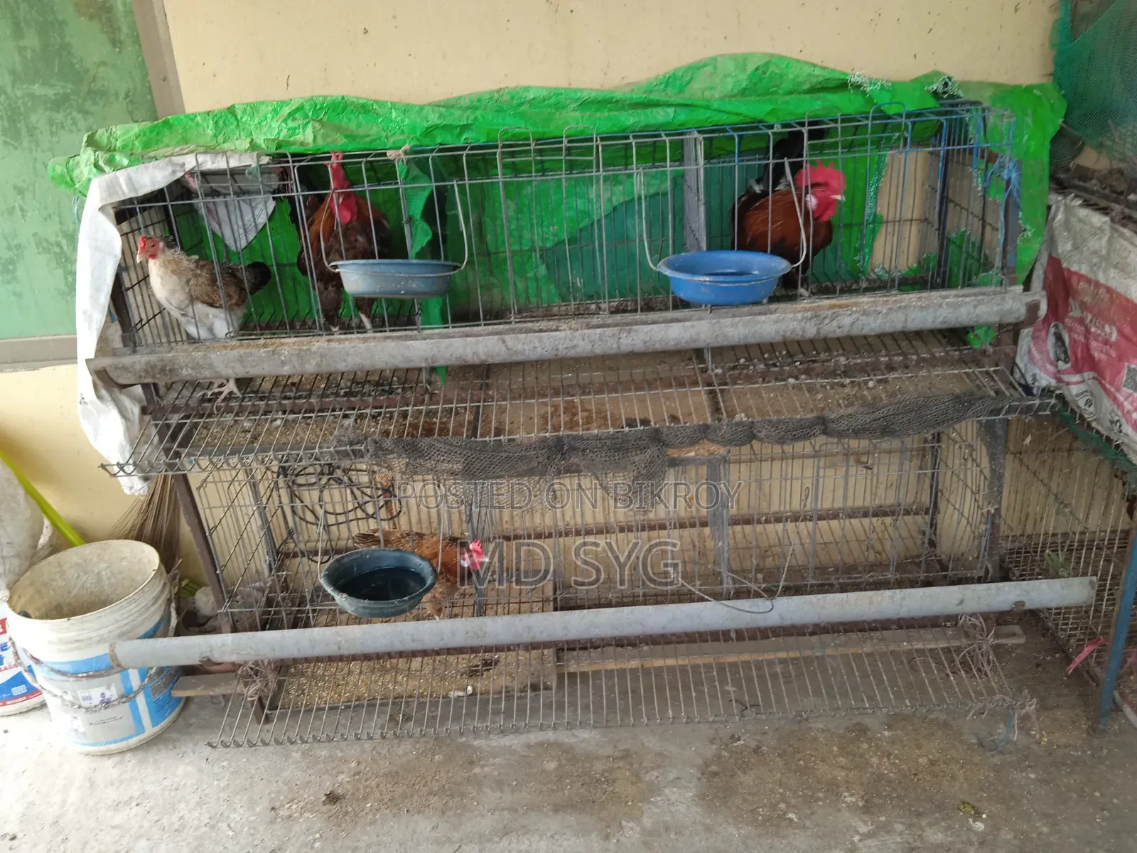 লেয়ার মুরগির বানানো খাঁচা বিক্রি করা হবে