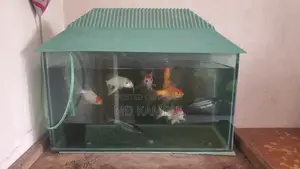 মাছসহ একুরিয়াম বিক্রি হবে
