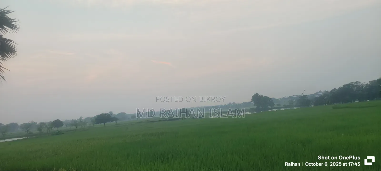 16 Bigha land for sale in one plot