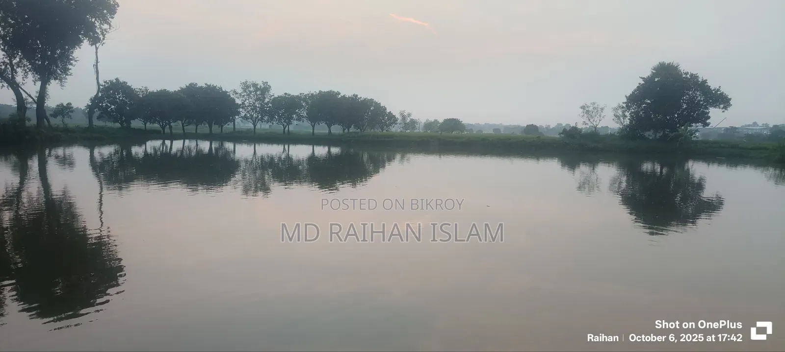 16 Bigha land for sale in one plot