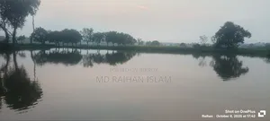 16 Bigha land for sale in one plot