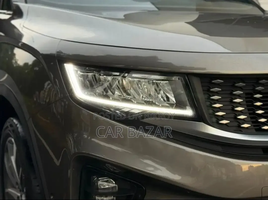 Proton 400 2024 Brown