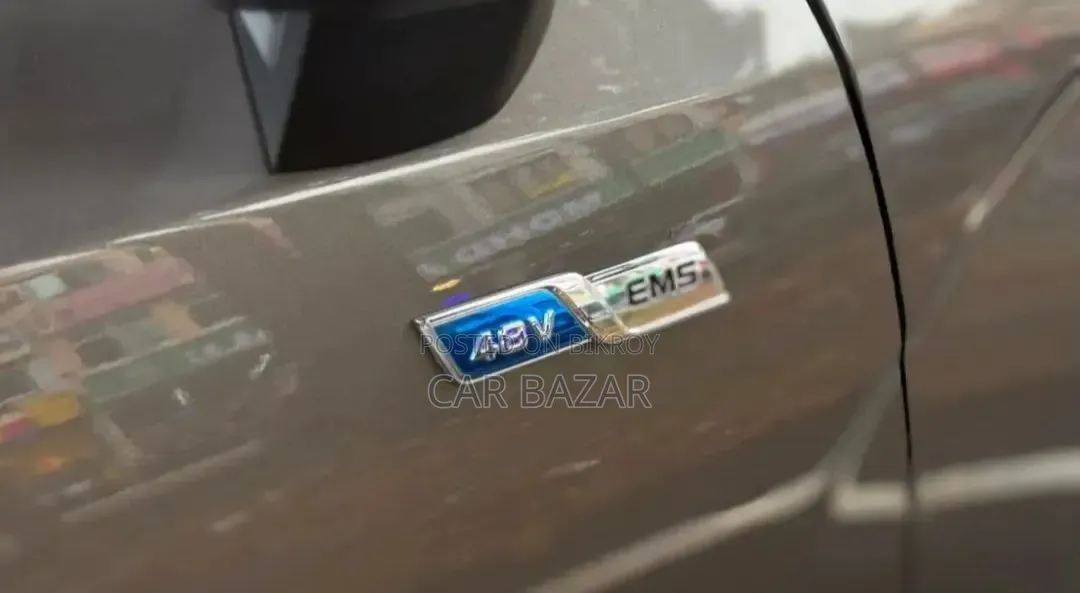 Proton 400 2024 Brown