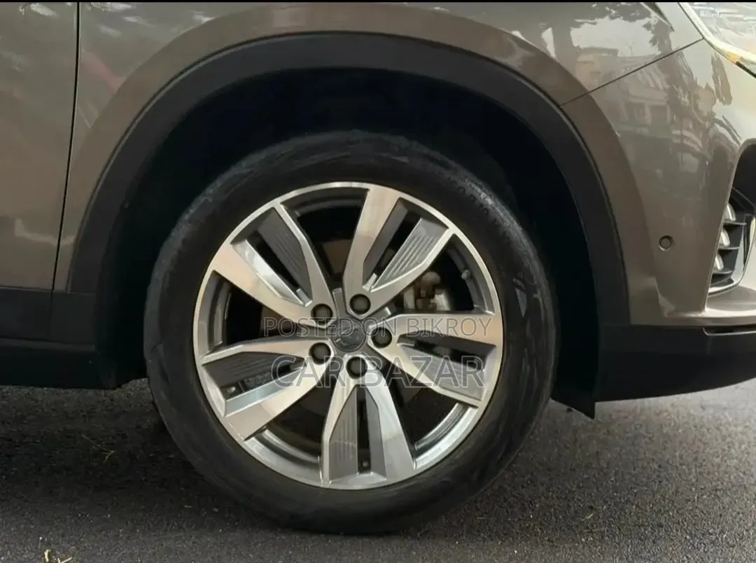 Proton 400 2024 Brown