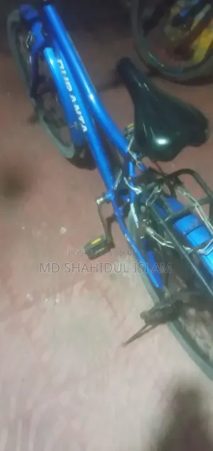 কোলা কালারের ভালো একটা সাইকেল