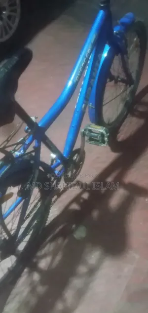 কোলা কালারের ভালো একটা সাইকেল