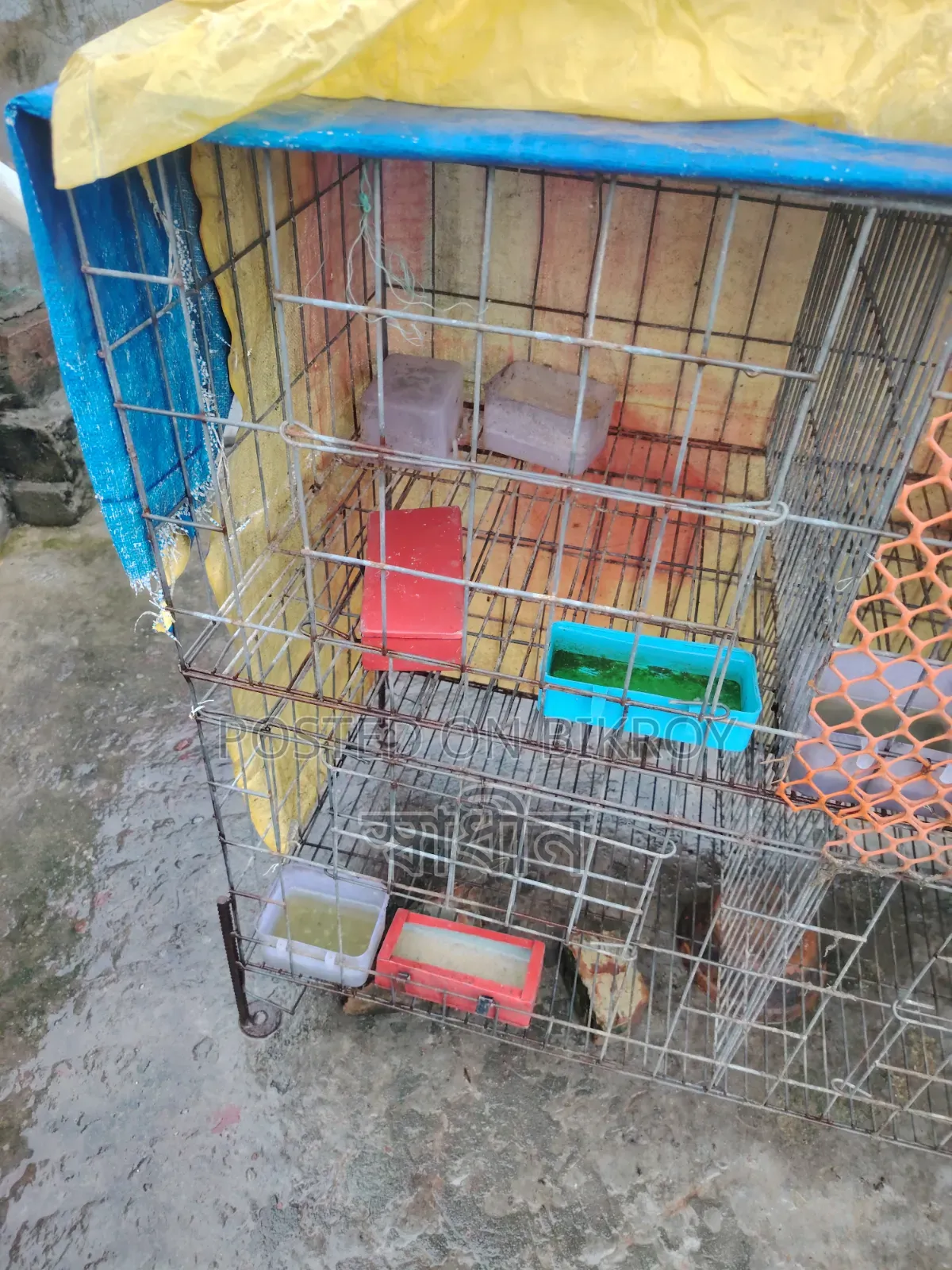 Pigeon Cage for Sale