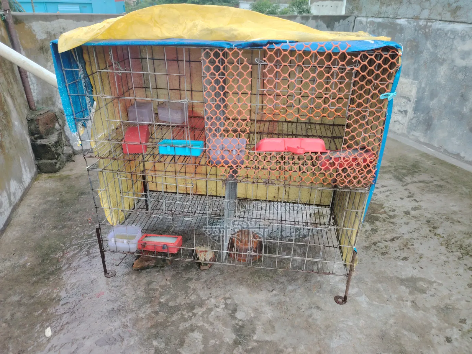 Pigeon Cage for Sale