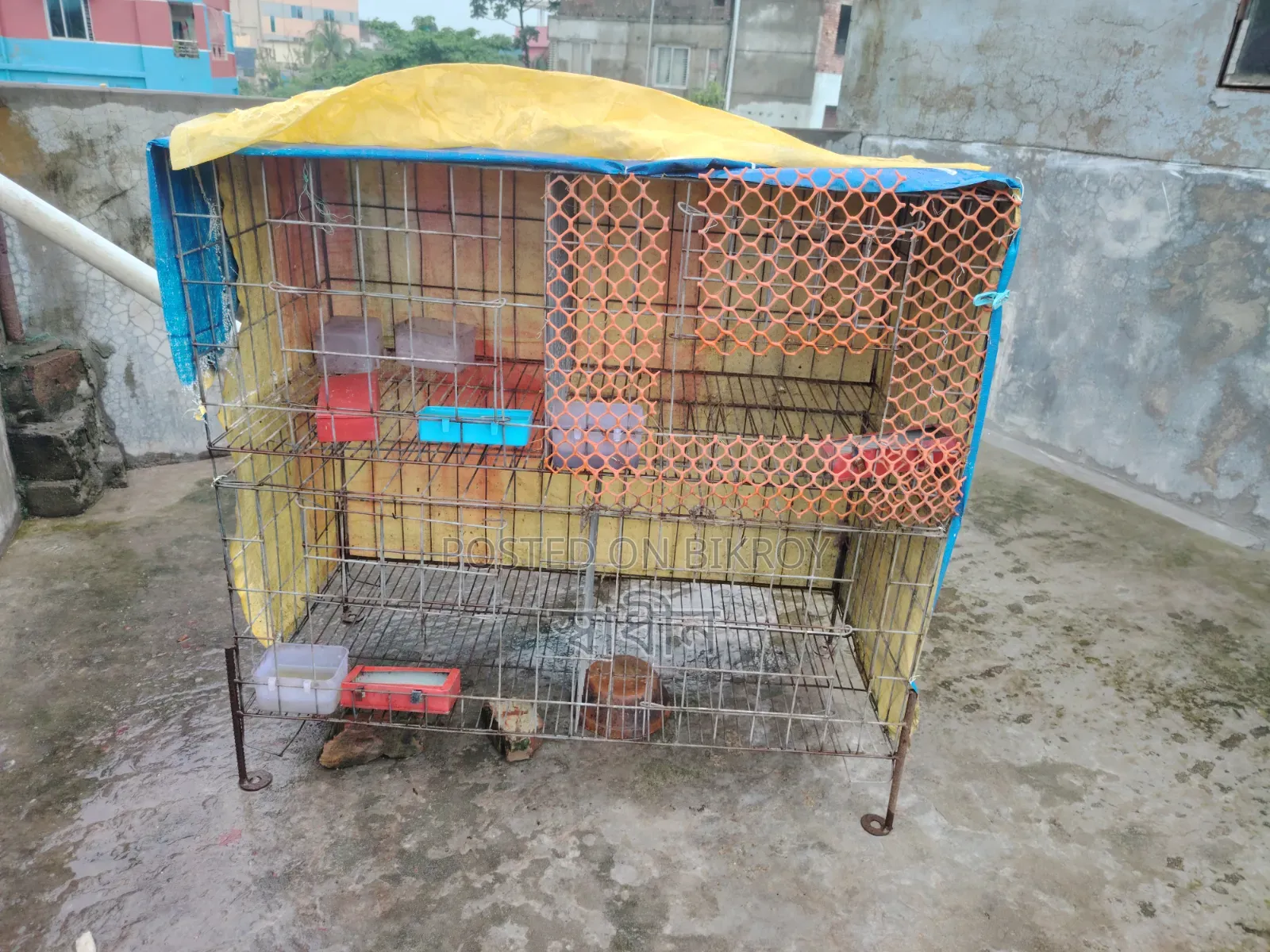 Pigeon Cage for Sale