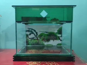 একুরিয়াম ১৩ বাই ৮ উচ্চতা ১০ ইঞ্চ