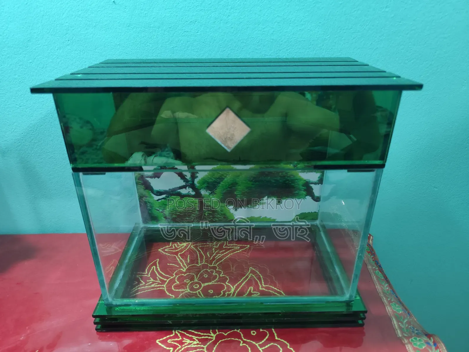 একুরিয়াম ১৩ বাই ৮ উচ্চতা ১০ ইঞ্চ