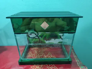 একুরিয়াম ১৩ বাই ৮ উচ্চতা ১০ ইঞ্চ