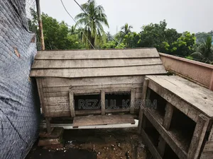 মুরগির খোপ