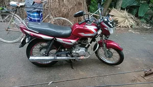 বাজাজ সিটি ১০০ ২০১০ লাল
