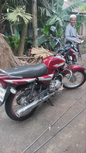 বাজাজ সিটি ১০০ ২০১০ লাল