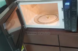 Electronic Oven