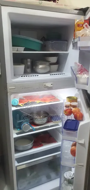 Singer Fridge