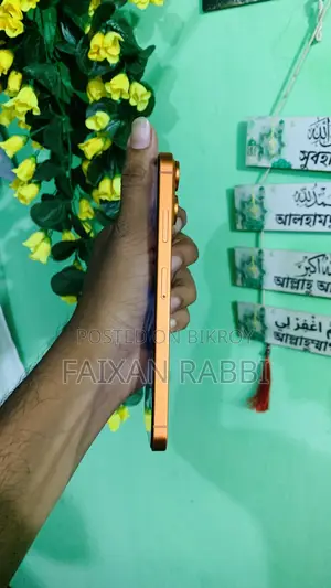 নতুন অ্যাপল আইফোন এক্সএস ম্যাক্স ২৫৬ জিবি কমলা