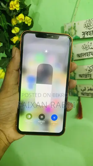 নতুন অ্যাপল আইফোন এক্সএস ম্যাক্স ২৫৬ জিবি কমলা