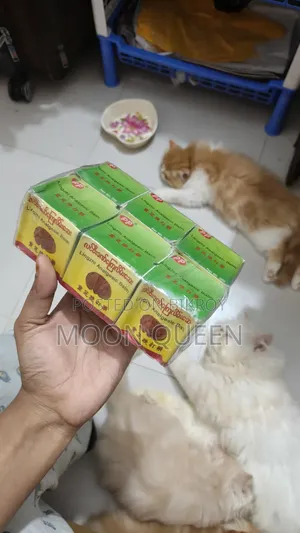 Lingzhi Analgesic Balm