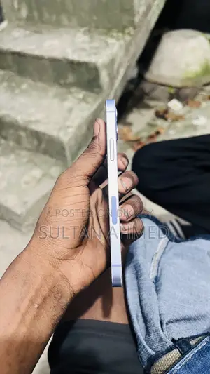 Apple iPhone 12 256 GB Green