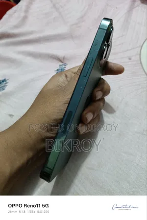 Apple iPhone 13 Pro Max 256 GB Green
