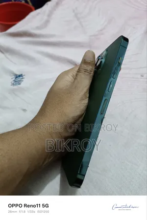 Apple iPhone 13 Pro Max 256 GB Green