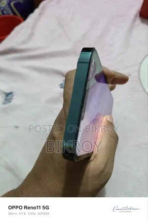Apple iPhone 13 Pro Max 256 GB Green