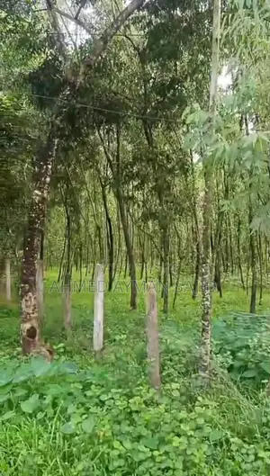 2.5 Kani Land (43560 Square Feet Land in Harbang, Chakaria)