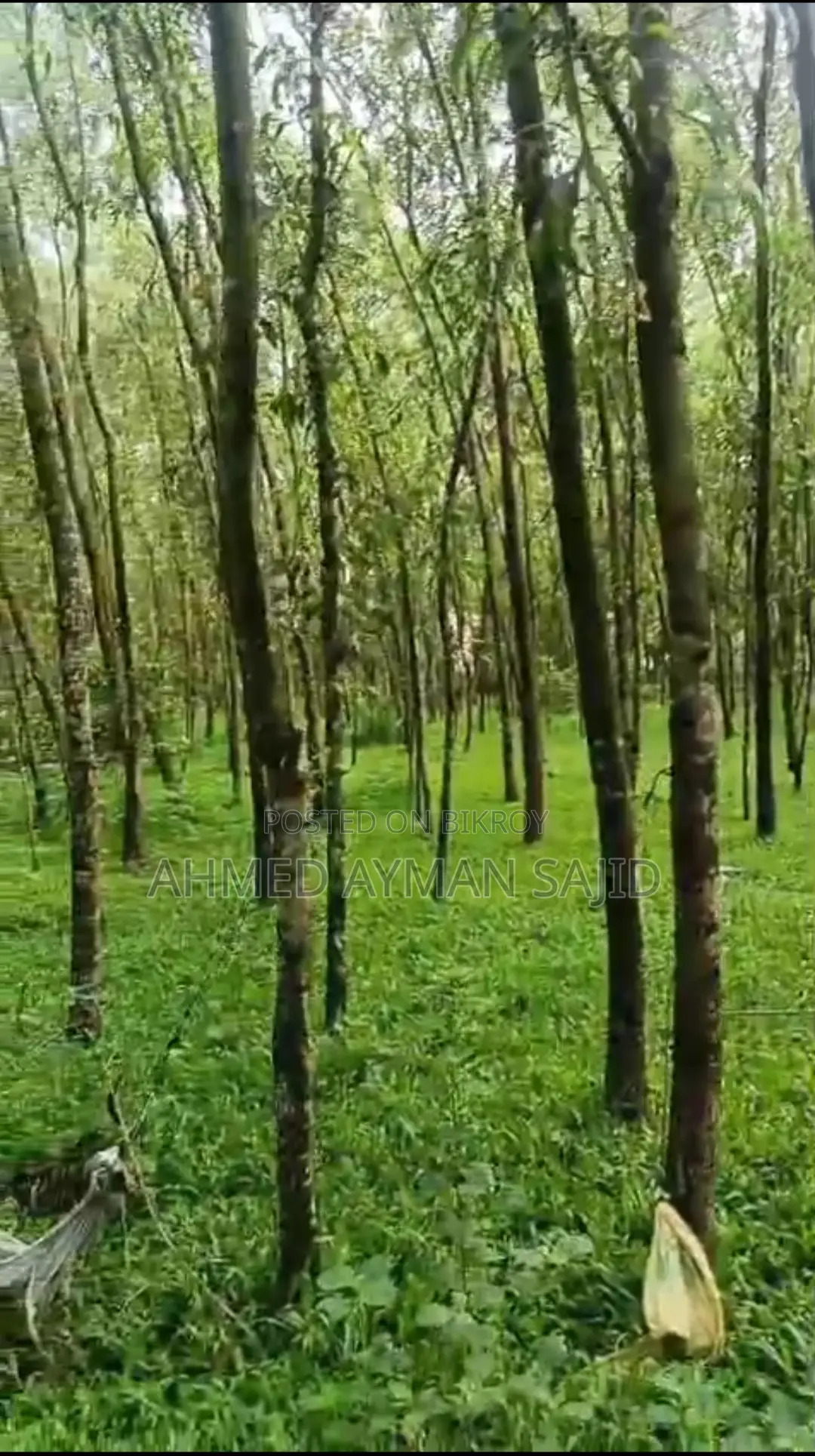 2.5 Kani Land (43560 Square Feet Land in Harbang, Chakaria)