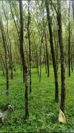 2.5 Kani Land (43560 Square Feet Land in Harbang, Chakaria)