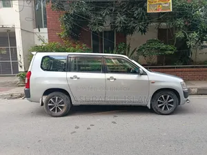 Toyota Probox 2010 Silver